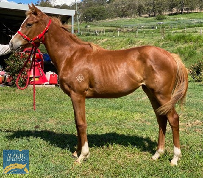 Rubick 5.jpg - Image 3