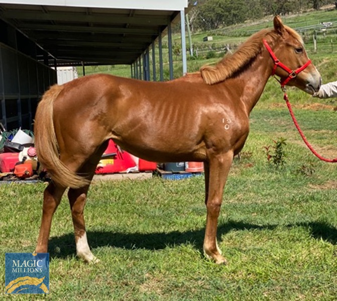 Rubick 4.jpg - Image 4