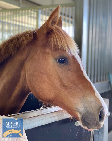 Rubick 6.jpg - Image 4