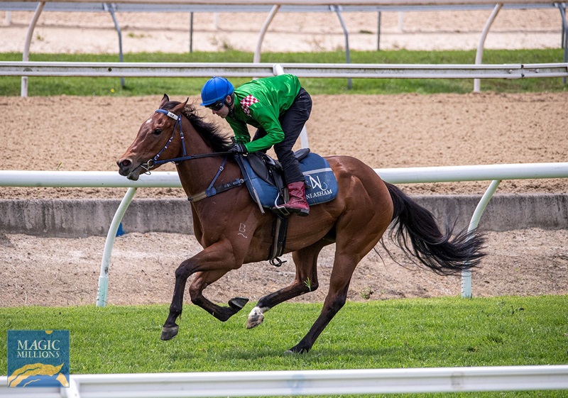 Completion.jpg - Image 1