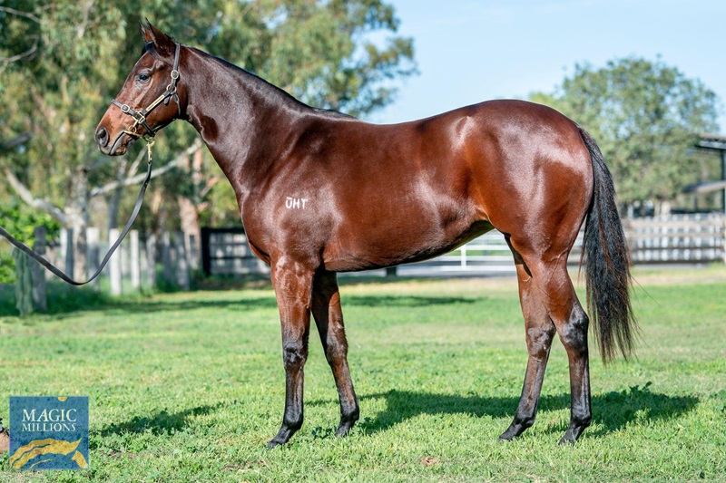 Super Speedy3.jpg - Image 1