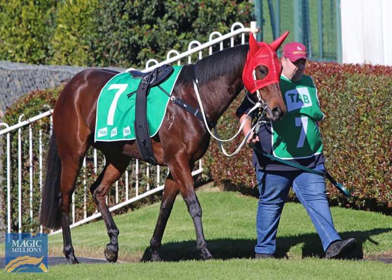 Super Speedy.jpg - Image 2