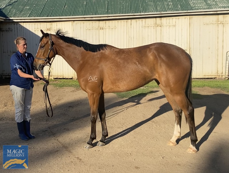 photo 1.jpg - Image 1