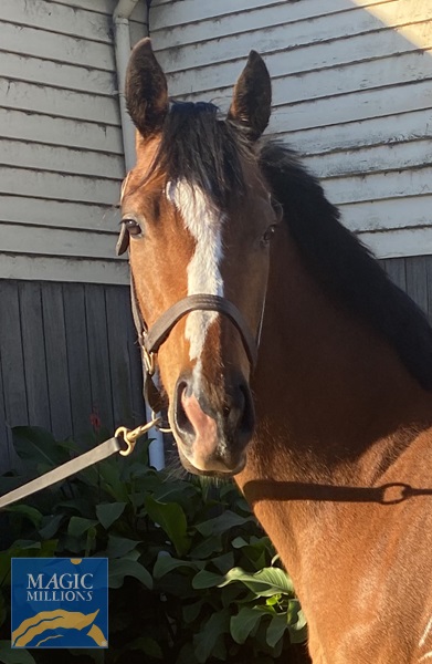 photo 2.jpg - Image 2