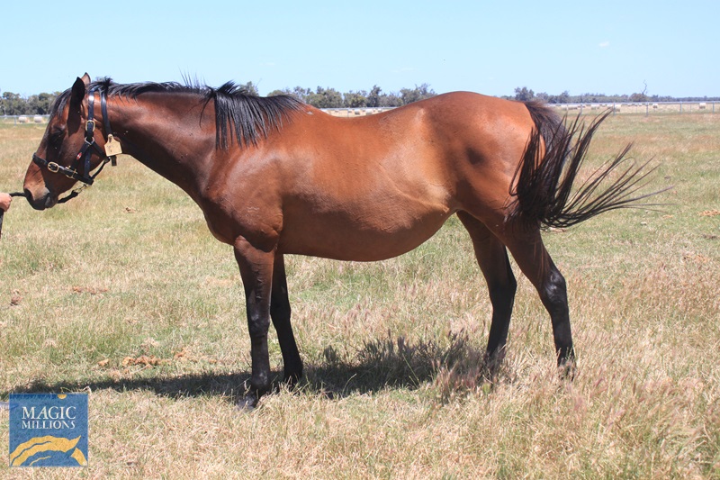 SAFE (1).jpg - Image 1