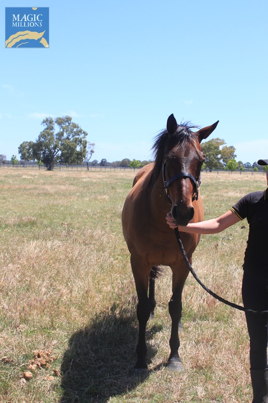 SAFE (2).jpg - Image 2