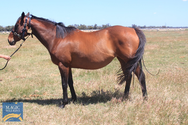 SAFE (4).jpg - Image 4