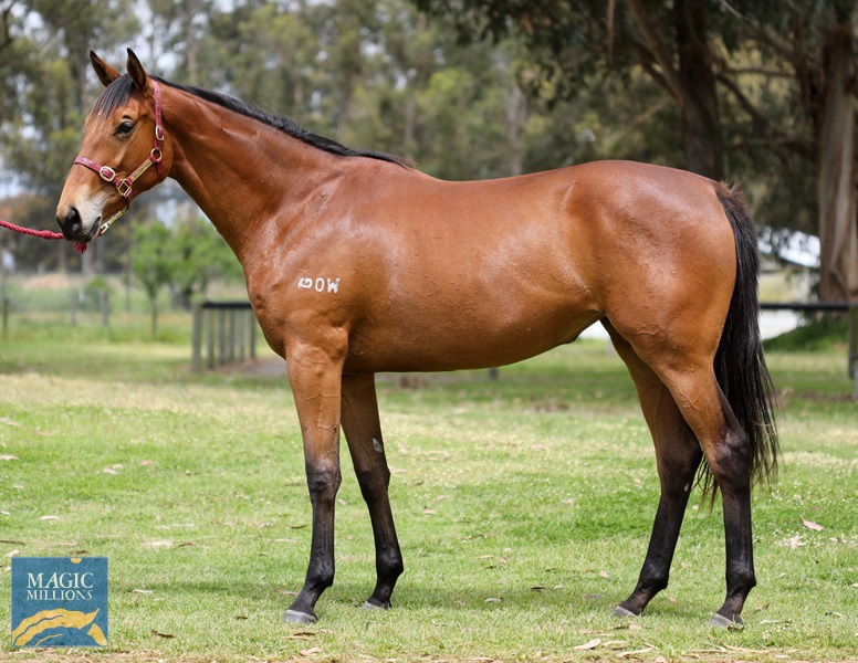 Playing God - Wild Ruby.jpg - Image 1