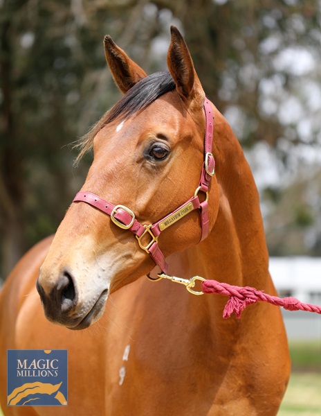 Playing God - Wild Ruby-8.jpg - Image 2