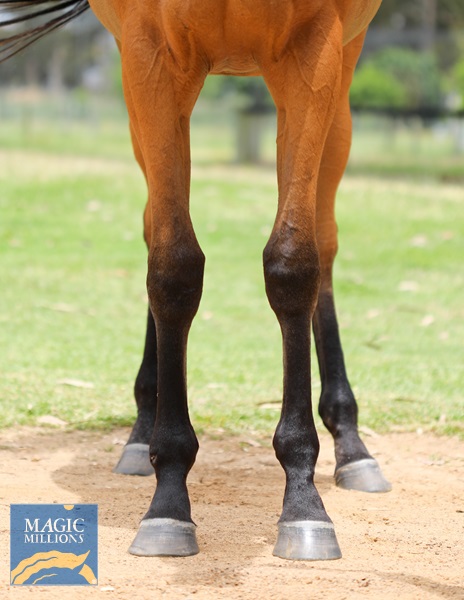 Playing God - Wild Ruby-5.jpg - Image 3