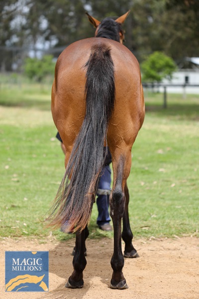 Playing God - Wild Ruby-9.jpg - Image 4