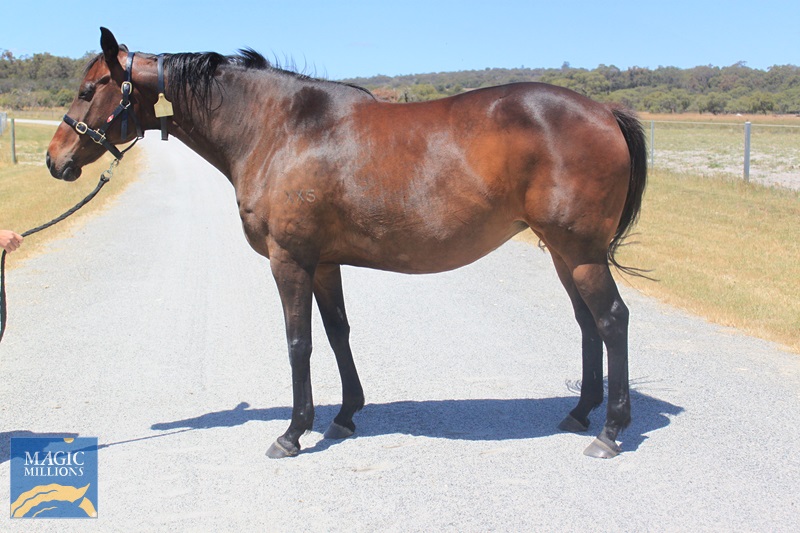 JOYOUS (2).jpg - Image 2