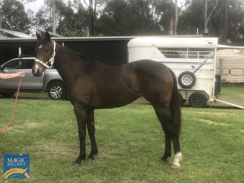 2021-11-02 09.08.53.jpg - Image 1