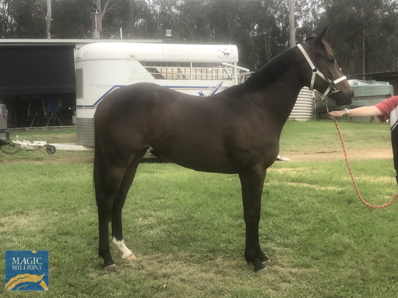 2021-11-02 09.09.47.jpg - Image 2