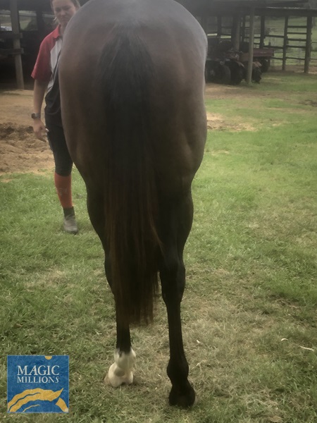 2021-11-02 09.10.25.jpg - Image 3