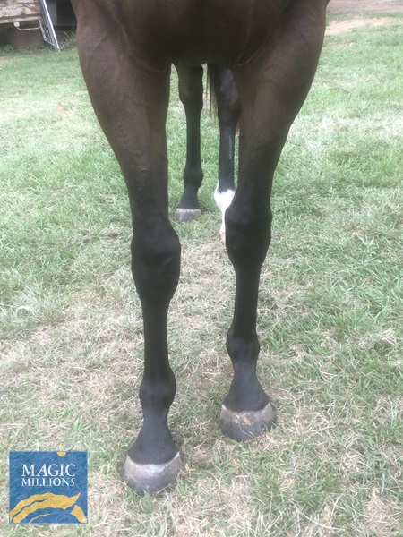 2021-11-02 09.10.03.jpg - Image 4