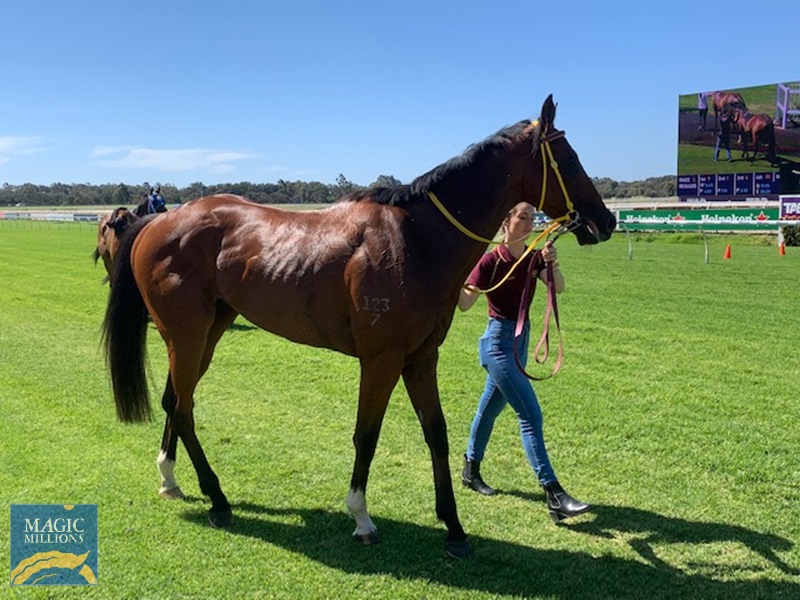 powerful.jpg - Image 1