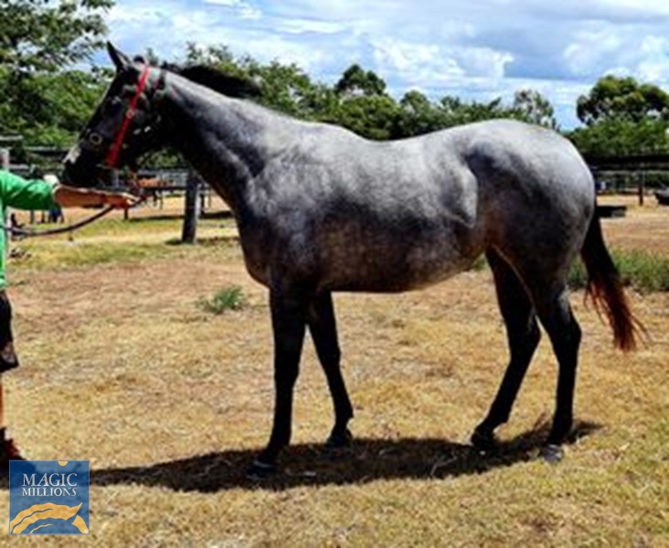 Voodoo crown photo.jpg - Image 1