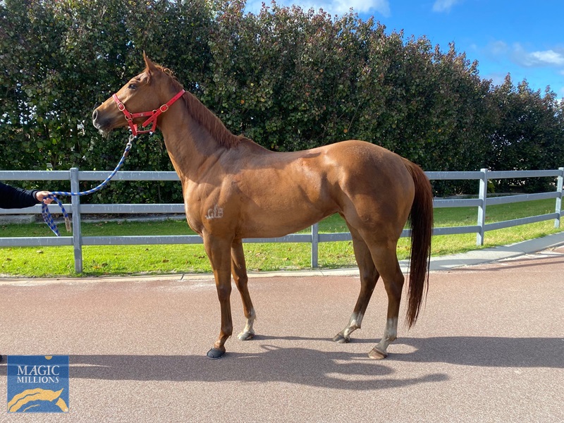 ROCKSTAR.jpg - Image 1