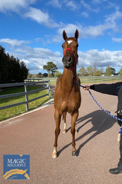 ROCKSTAR D.jpg - Image 2