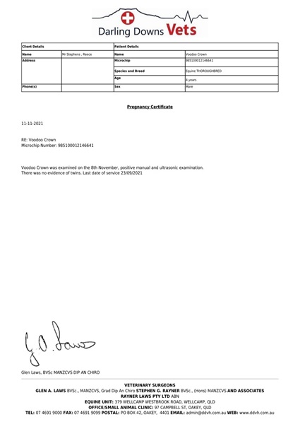 Pregnancy Certificate