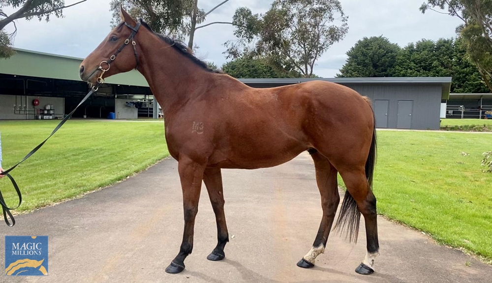 Deep Speed (AUS) - Image 1