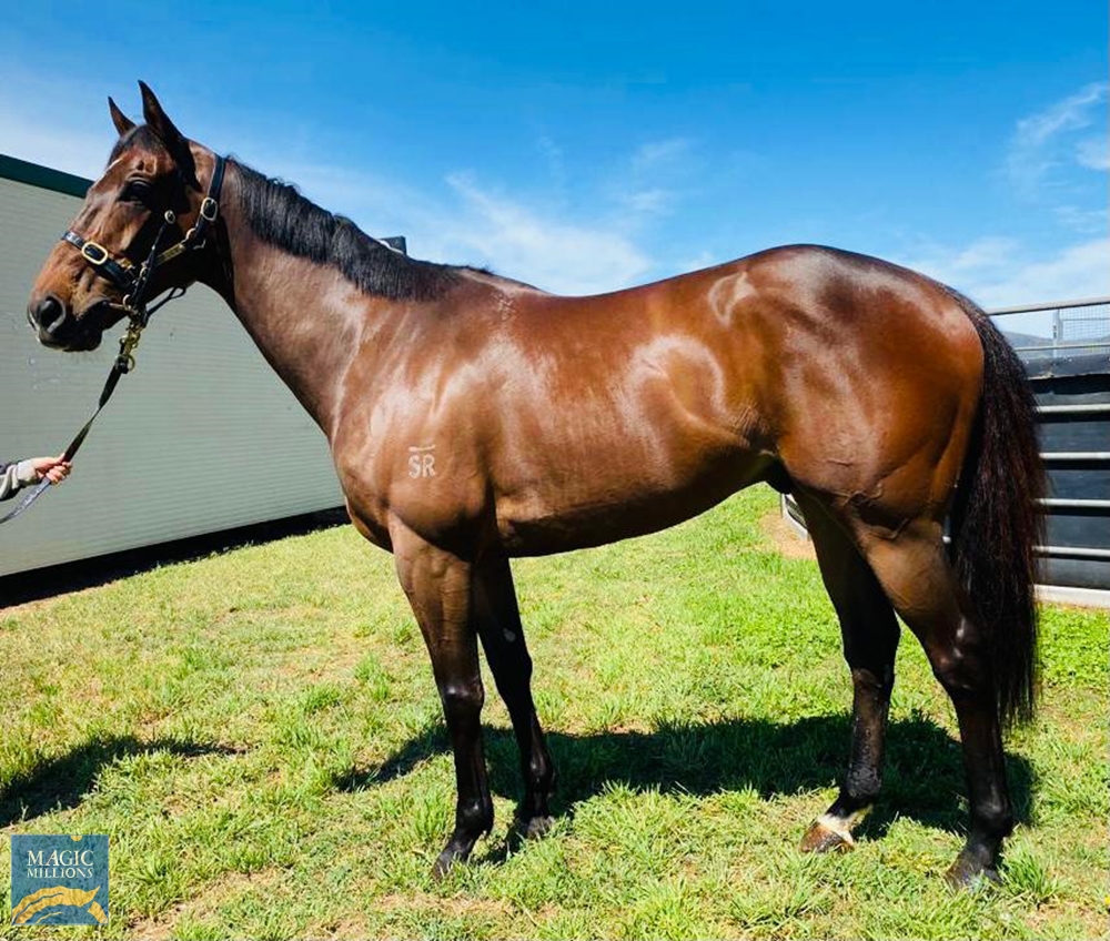 Partners (AUS) - Image 1