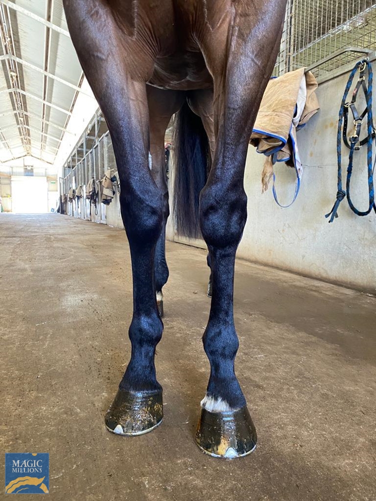 Partners (AUS) - Image 2