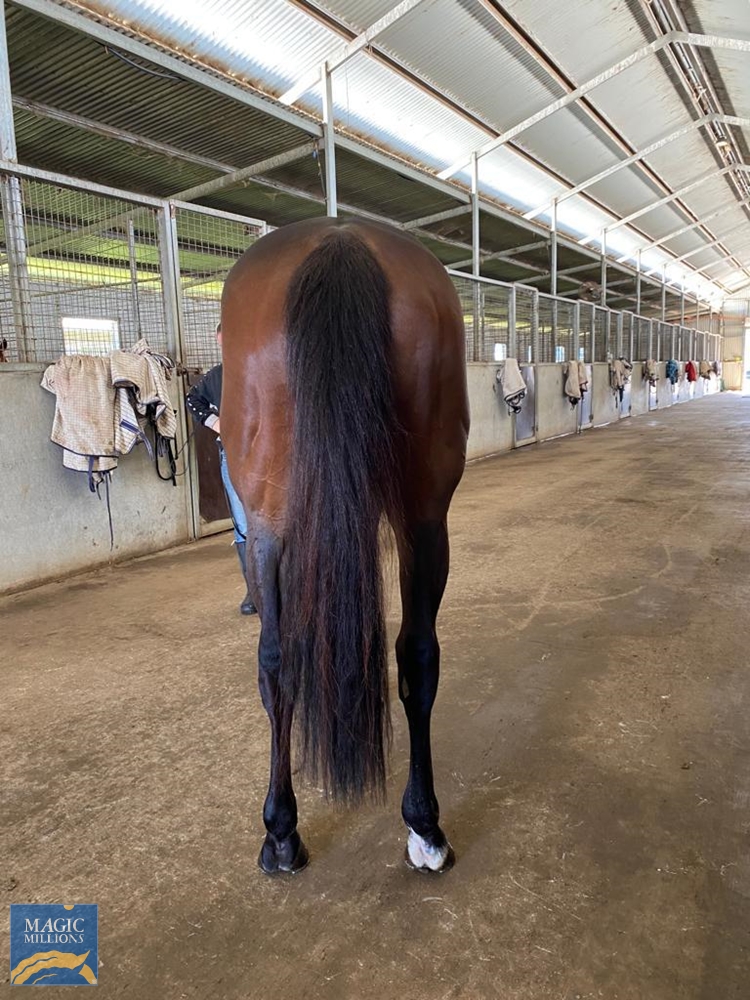 Partners (AUS) - Image 3