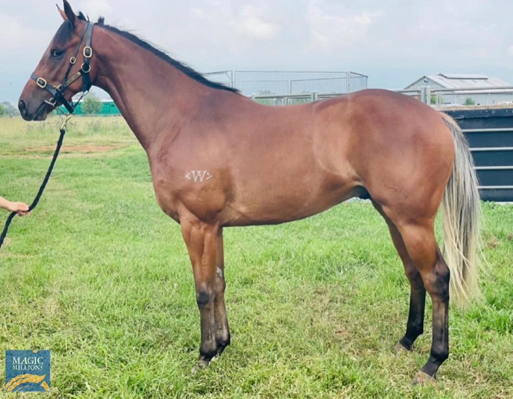 Day for It (NZ) - Image 2