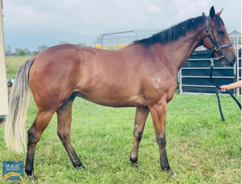 Day for It (NZ) - Image 3