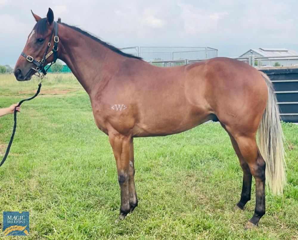 Day for It (NZ) - Image 4