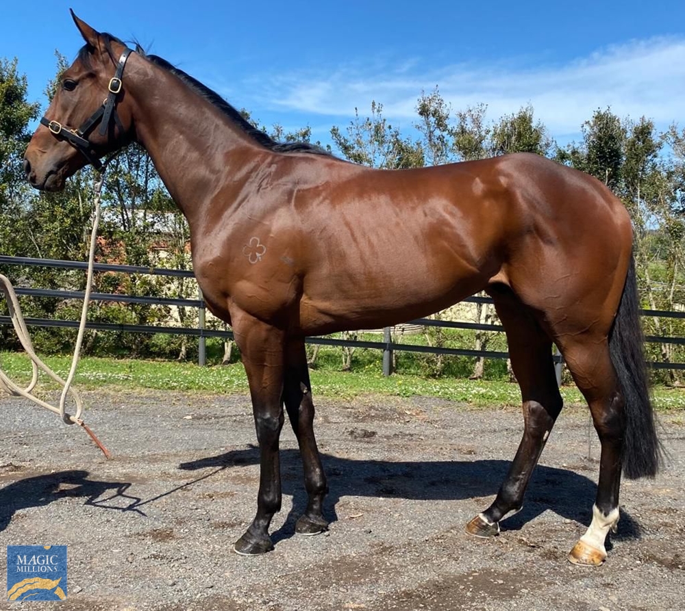 How Do You Sleep (AUS) - Image 1