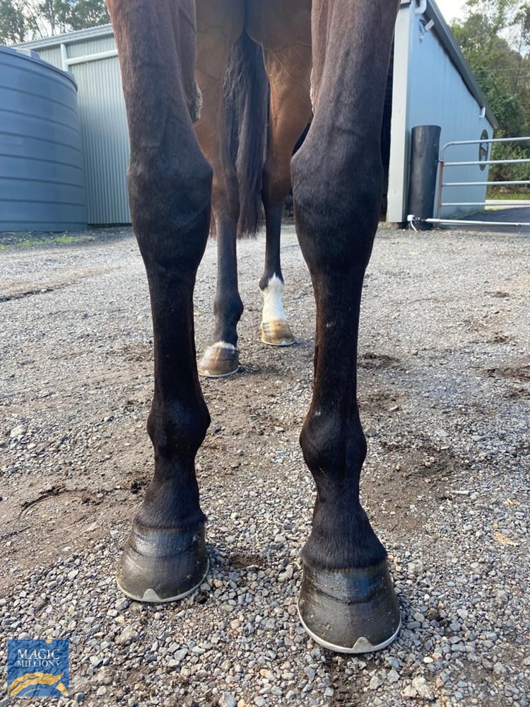 How Do You Sleep (AUS) - Image 3