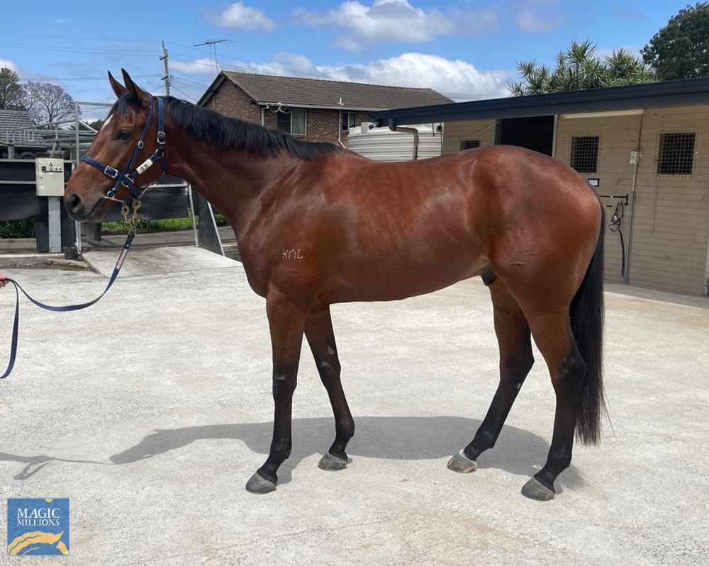 Good Chat (AUS) - Image 1