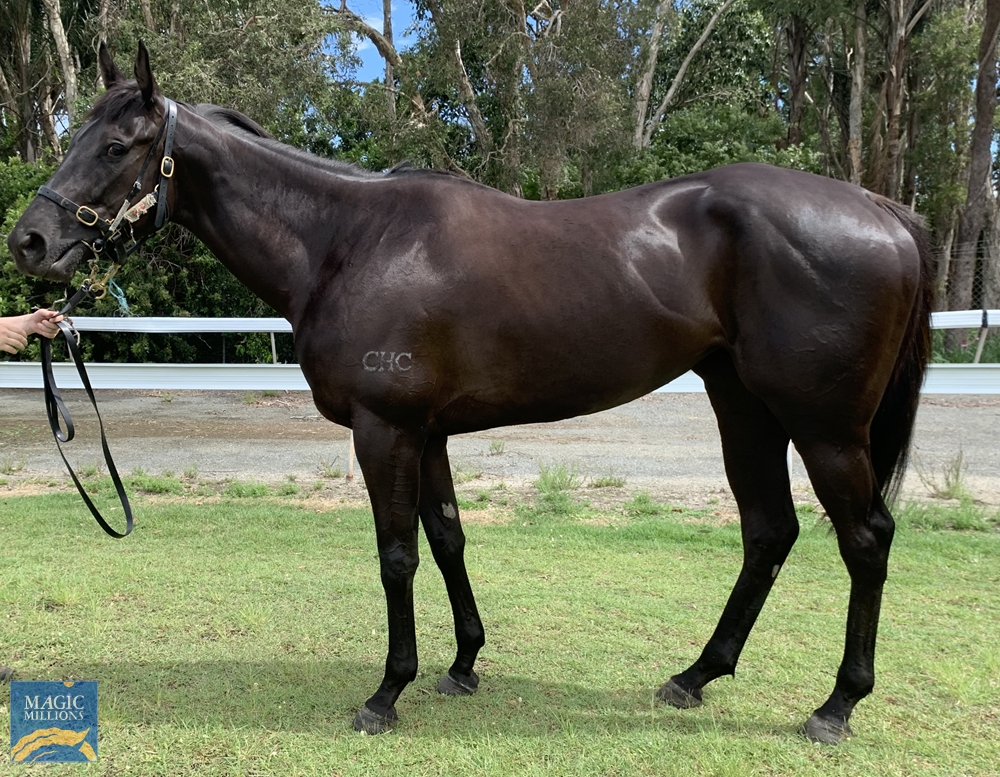 Kercharmer (AUS) - Image 1