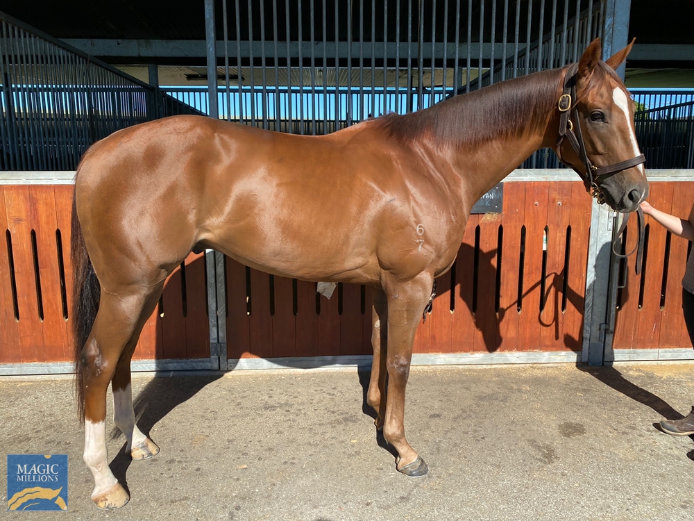 Triptonic (AUS) - Image 1