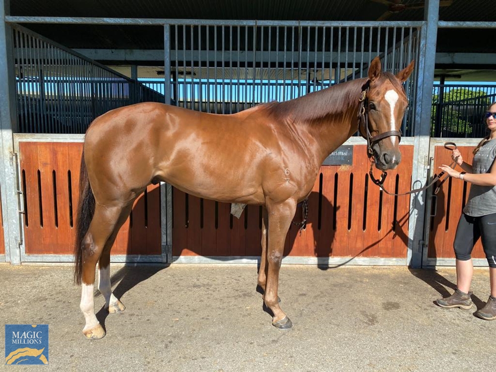 Triptonic (AUS) - Image 2