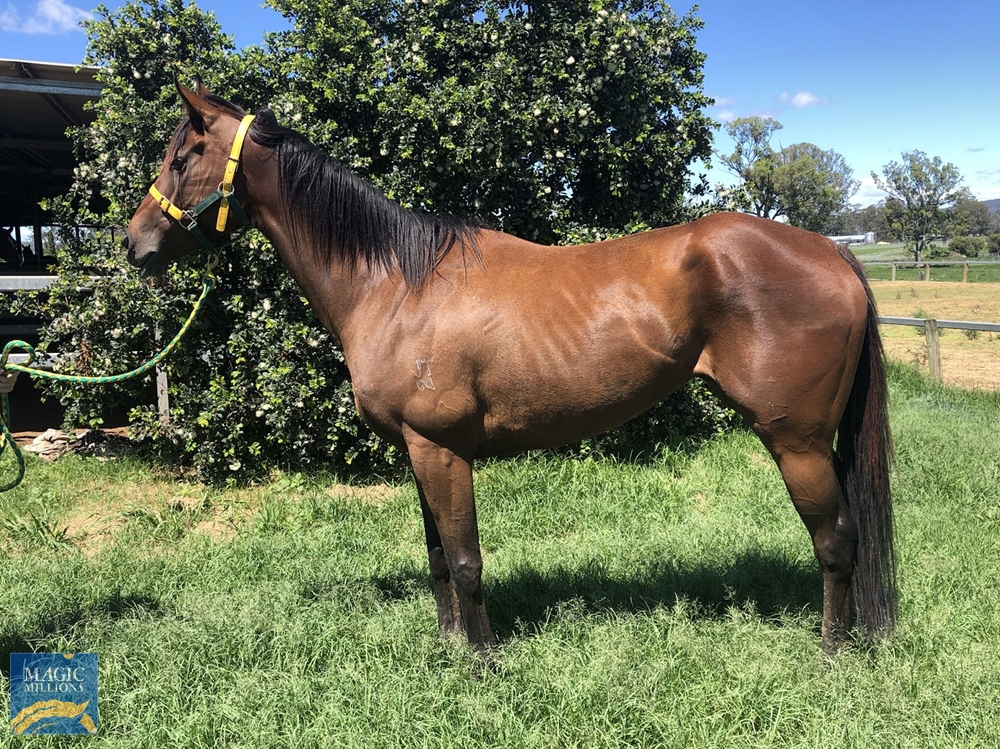 Rubin (AUS) - Image 1