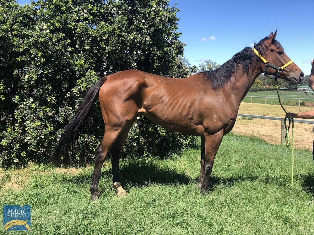 Ostara (AUS) - Image 1