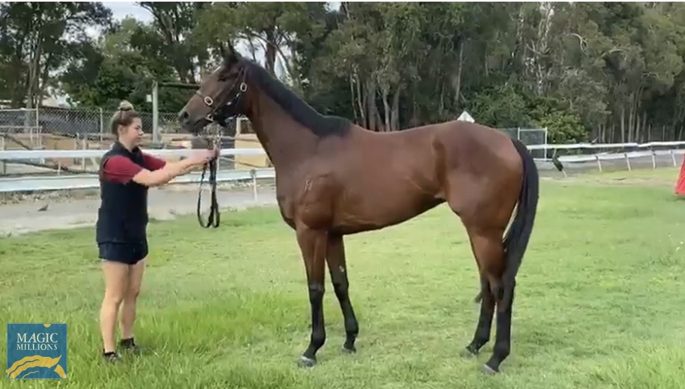 Casa Tranquila (NZ) - Image 1