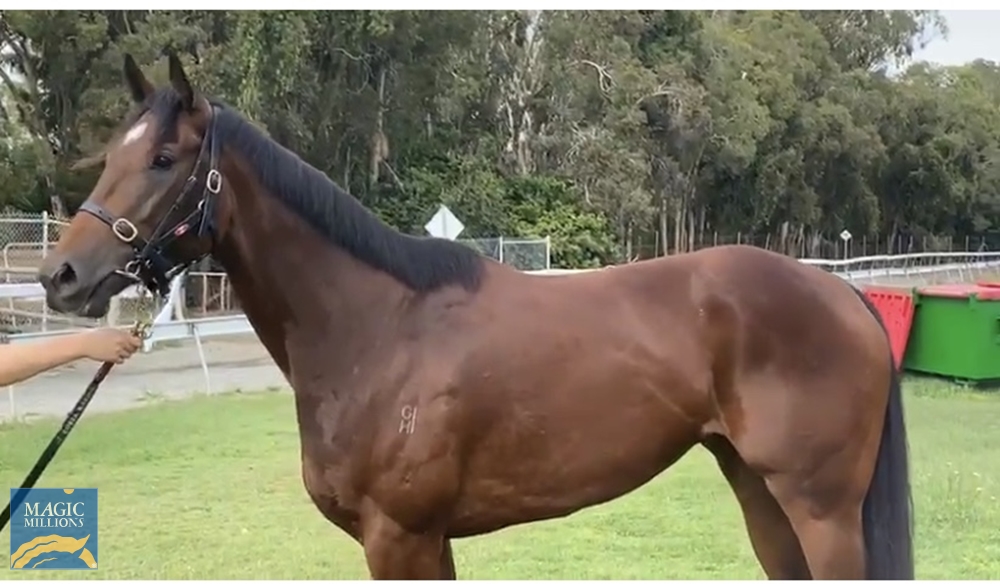 Casa Tranquila (NZ) - Image 2