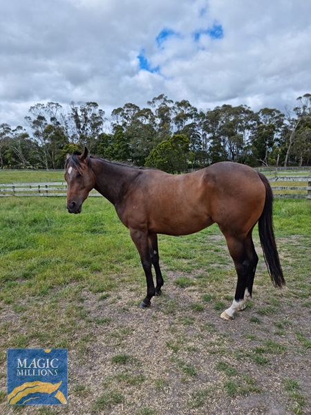 261929387_2760708934229009_5278899854764753601_n.jpg - Image 1