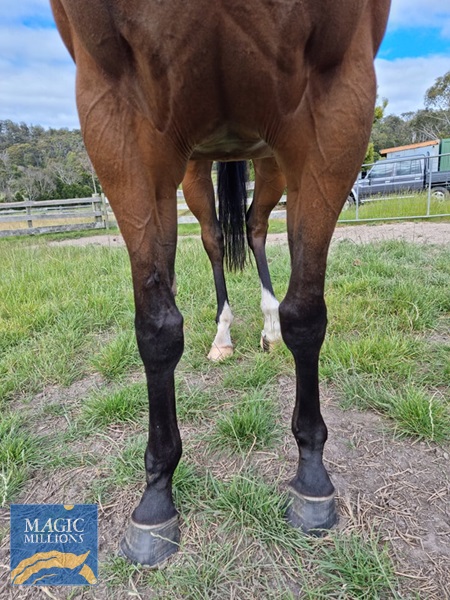 261664527_490939905539726_7759749807948465106_n (1).jpg - Image 2