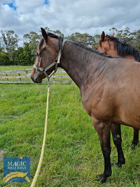 260807583_1075665019902070_5040792469452745761_n.jpg - Image 3