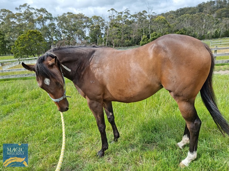 262195382_3112747642325759_5403375292314656151_n.jpg - Image 4