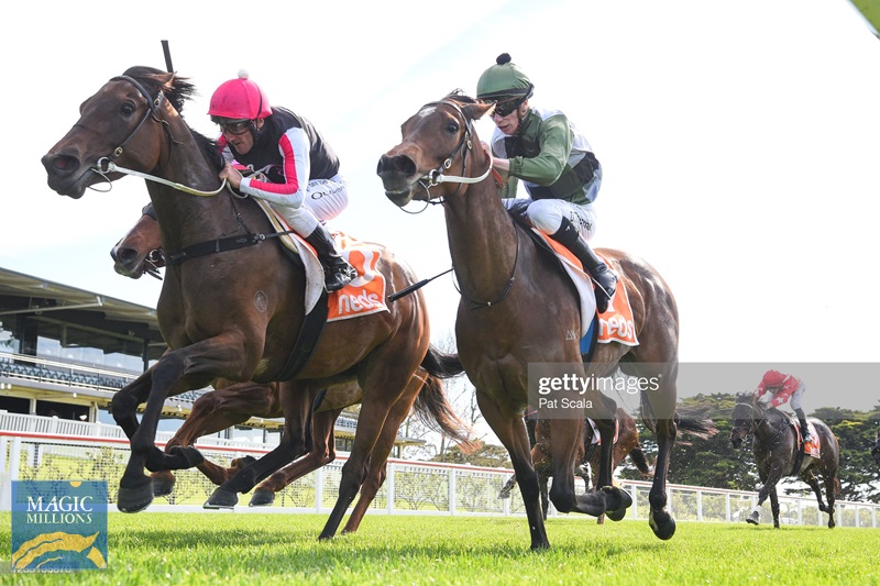 gettyimages-1235135870-2048x2048.jpg - Image 1