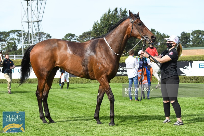 gettyimages-1235135900-2048x2048.jpg - Image 2