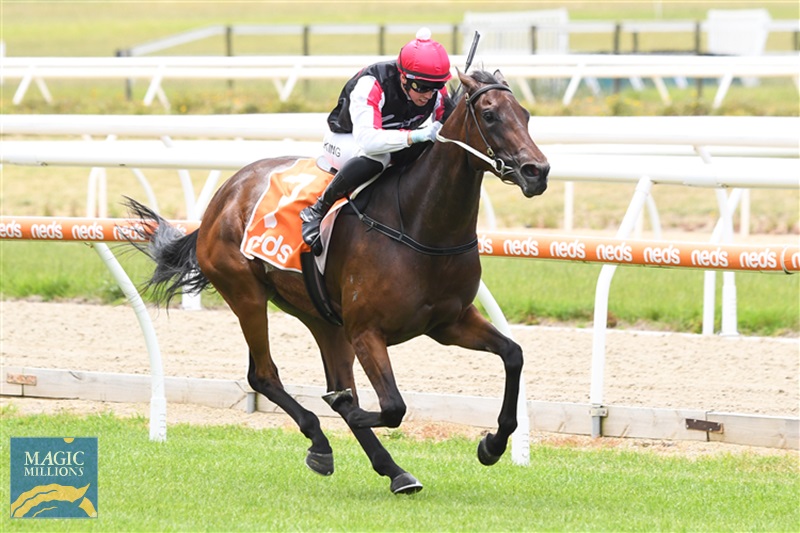 Horse-licciardi-158603-750x500.jpg - Image 3