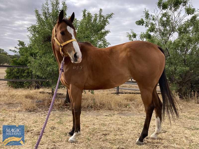 21EFA670-098D-493B-BA2C-CB8E7D6B1BCC.jpg - Image 1